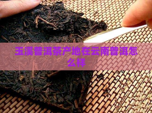 玉溪普洱茶产地是哪里好