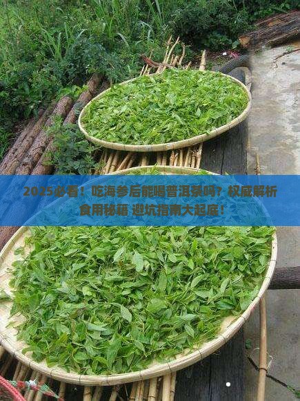 吃海参后能喝普洱茶