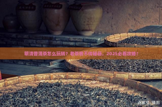 明清茶普洱茶发展