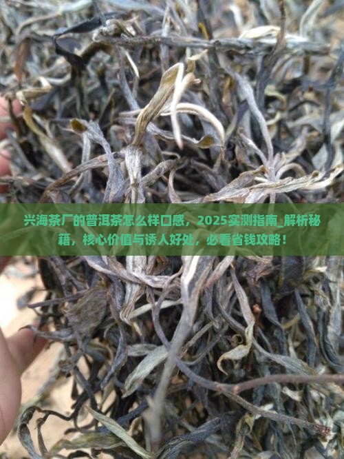 兴海茶厂的普洱茶怎么样口感