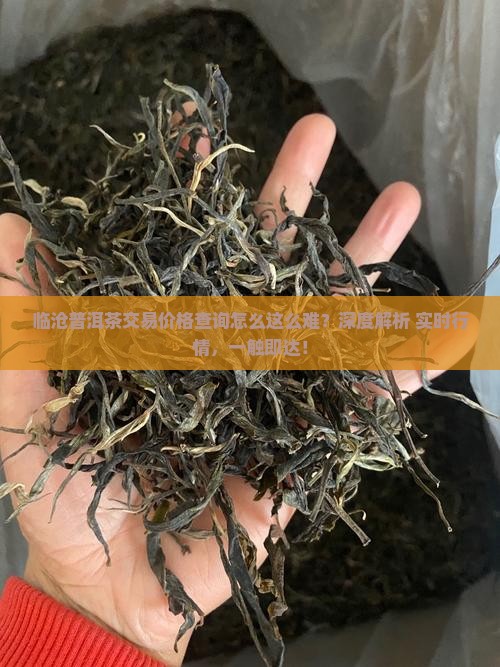临沧普洱茶交易价格查询
