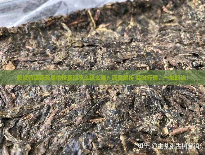 临沧普洱茶交易价格查询