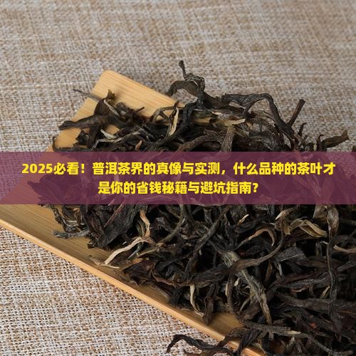 什么品种的普洱茶叶好