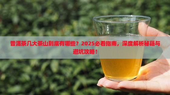 普洱茶的几大茶山