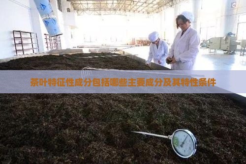茶叶特征性成分包括