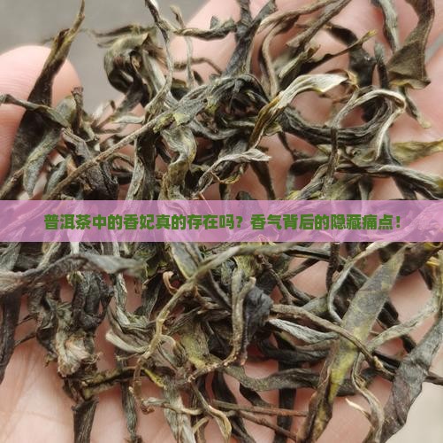 普洱茶中的香妃