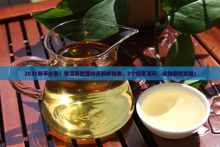 普洱茶地理含义及特点简述