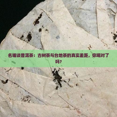 台湾名嘴谈普洱茶