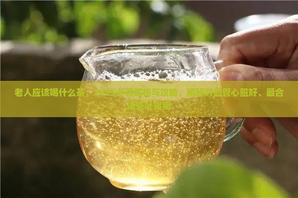 老人应该喝什么茶 老人应该喝什么茶