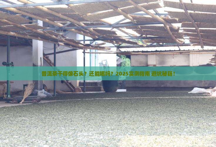 普洱茶存的太干了能喝吗