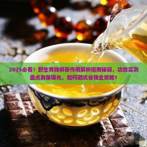 野生青钱柳茶的作用