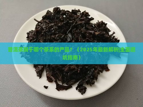 普洱茶属于哪个茶系的产品