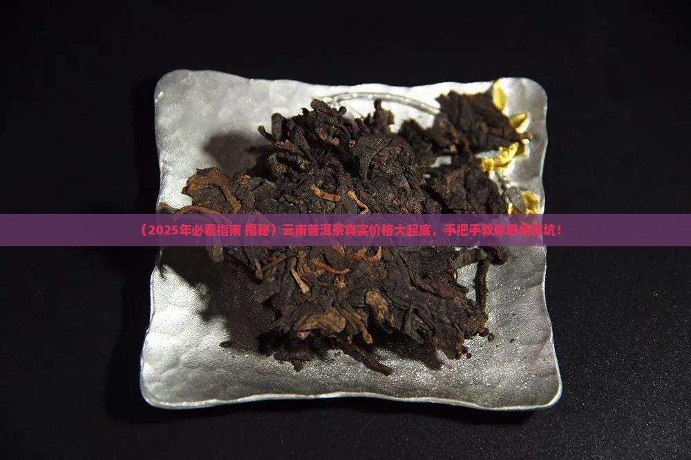云南省普洱茶价格