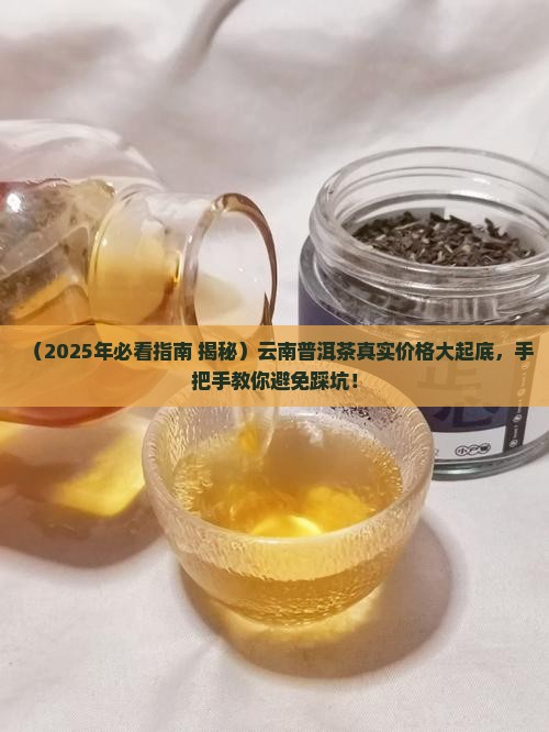 云南省普洱茶价格