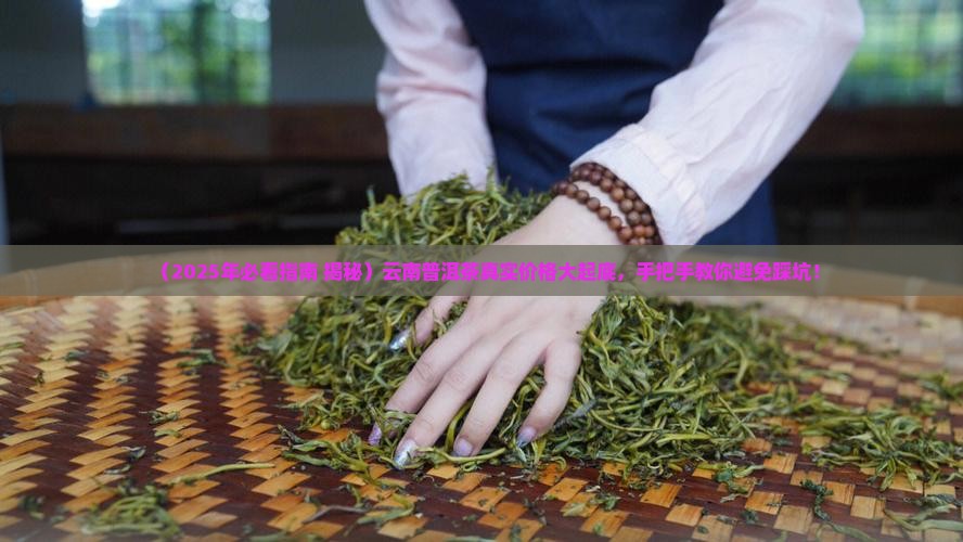 云南省普洱茶价格