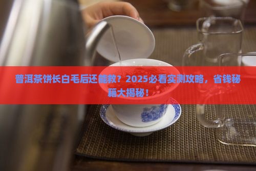 普洱茶饼长白毛再烘干