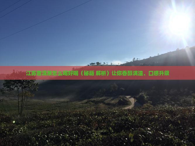 江苏普洱茶怎么喝好喝