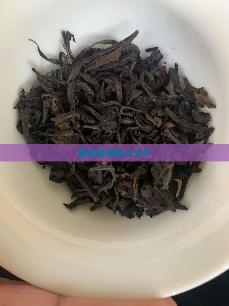 菊花普洱茶上火不