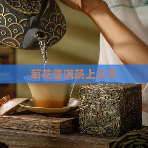 菊花普洱茶上火不
