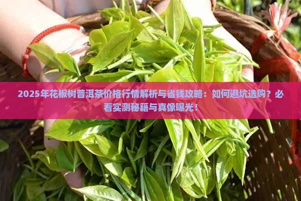花椒树普洱茶价格行情
