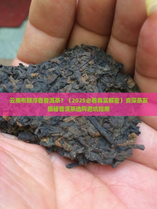 云南布朗淳香普洱茶