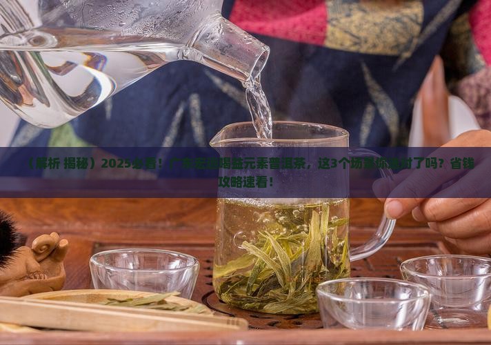 益元素普洱茶广东宏远
