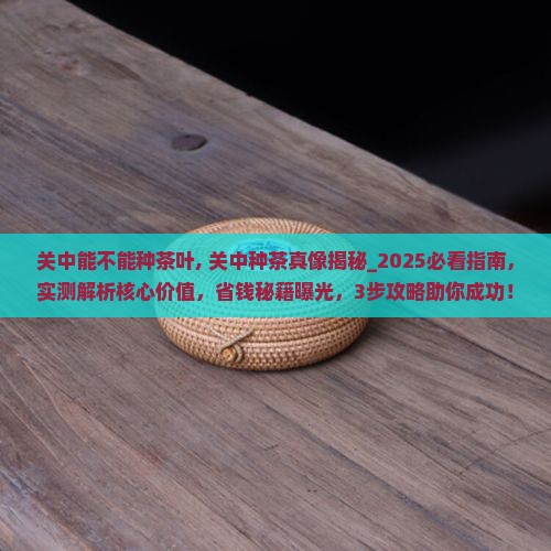 关中能不能种茶叶