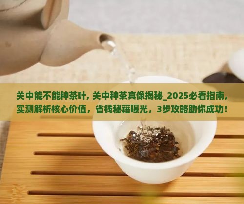 关中能不能种茶叶