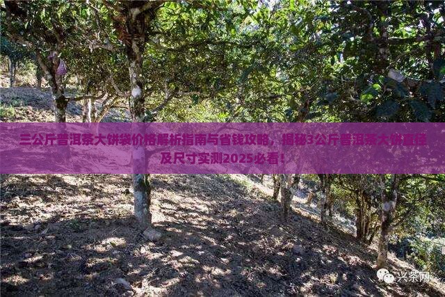 三公斤普洱茶大饼袋