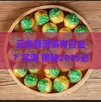 云南普洱茶有白虫