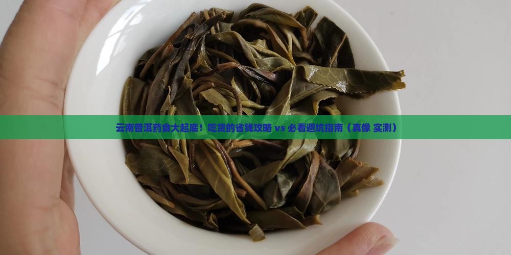 云南普洱药食有哪些
