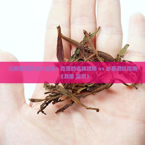 云南普洱药食有哪些