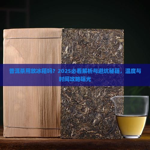 普洱茶用放冰箱吗