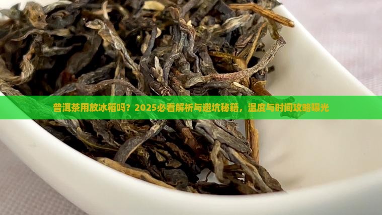 普洱茶用放冰箱吗