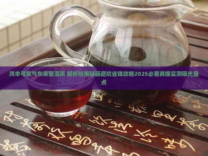鸿丰号紫气东来普洱茶