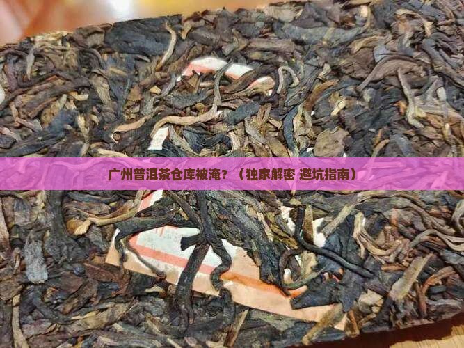 广州普洱茶仓库被淹