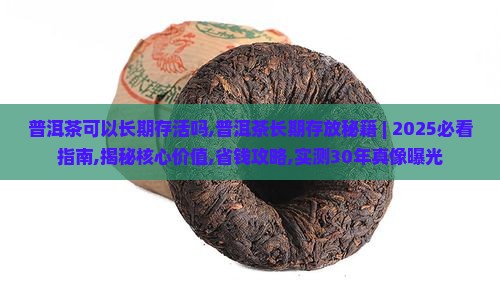 普洱茶可以长期存活吗