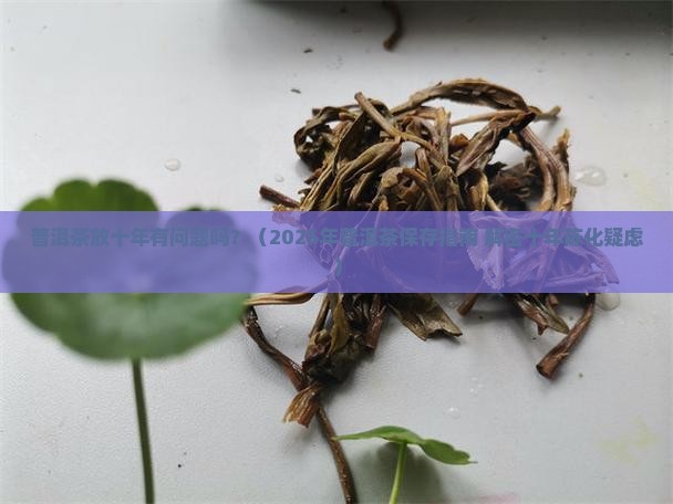 普洱茶放十年有问题吗