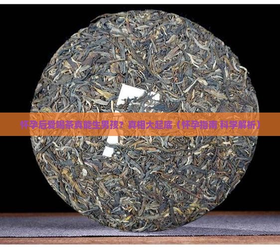怀孕后爱喝茶生男孩吗