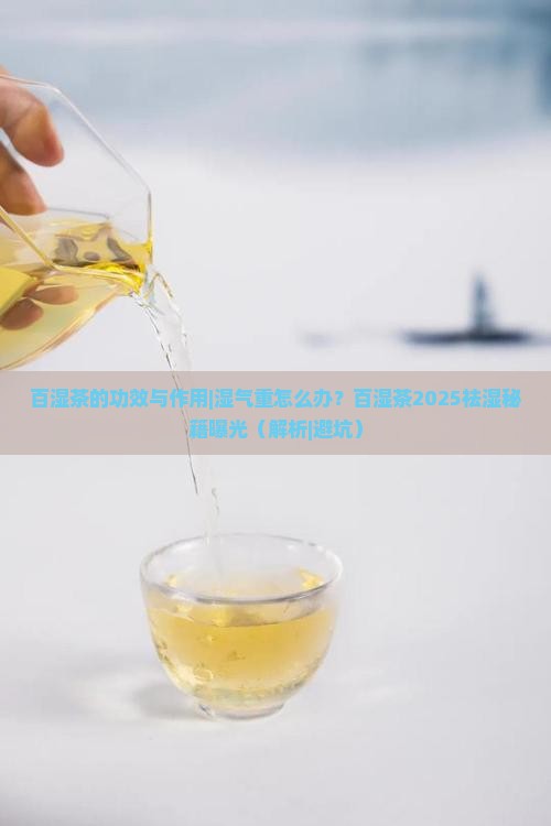 百湿茶的功效与作用