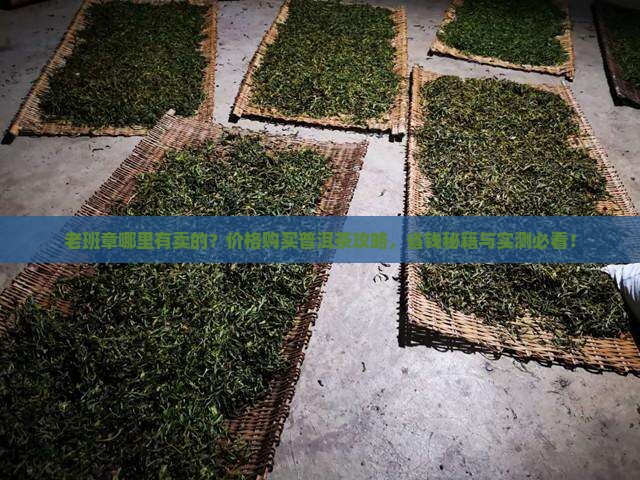 老班章哪里有卖的