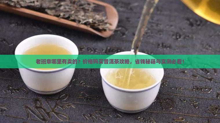 老班章哪里有卖的