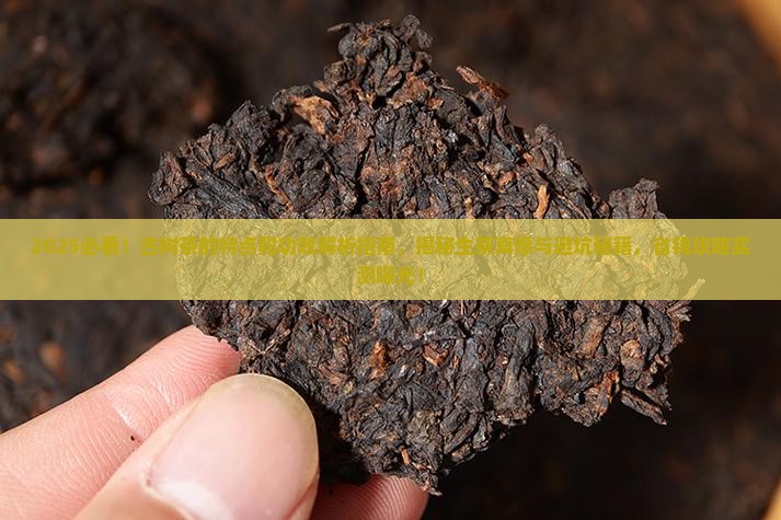 古树茶的特点和功效是什么生