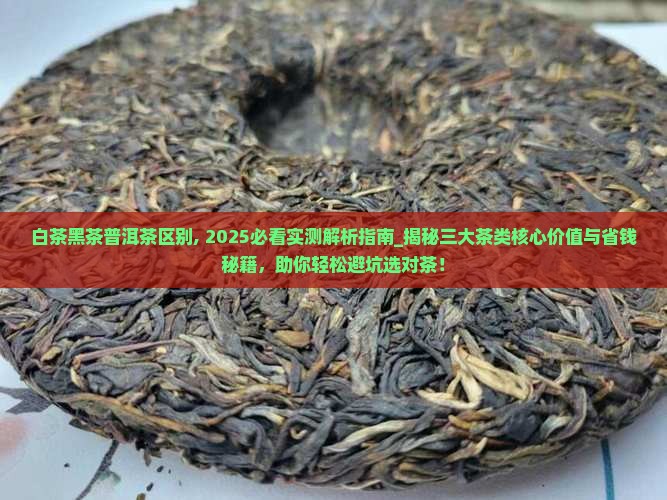 白茶黑茶普洱茶区别