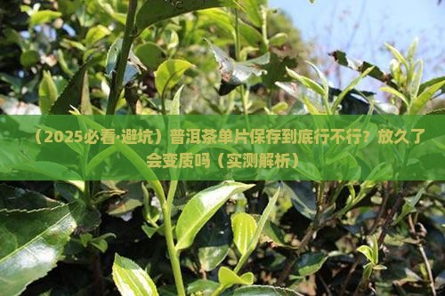 普洱茶单片保存好吗吗能放多久