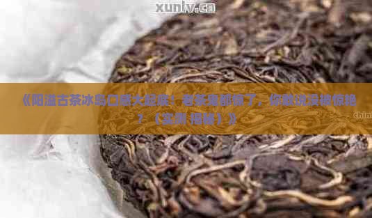 阳溢古茶冰岛口感