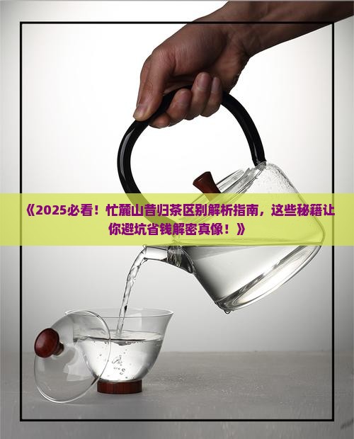 忙麓山昔归茶区别