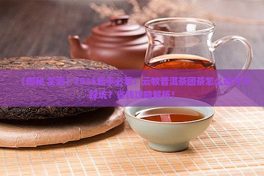云牧普洱茶团茶