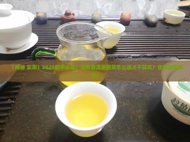 云牧普洱茶团茶