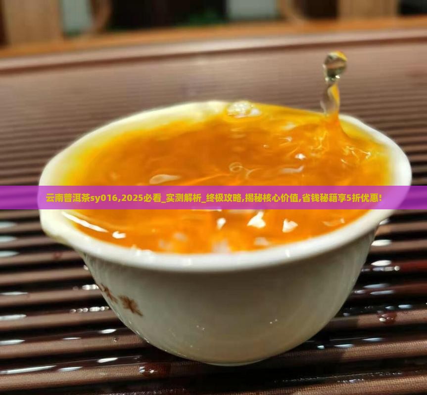 云南普洱茶sy016